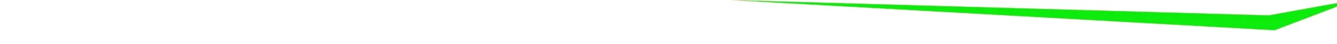 A black and white picture of the same image.